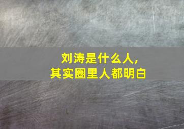 刘涛是什么人,其实圈里人都明白