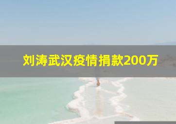 刘涛武汉疫情捐款200万