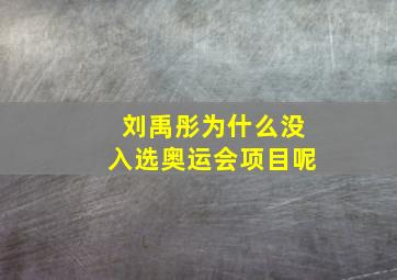 刘禹彤为什么没入选奥运会项目呢