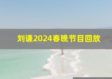 刘谦2024春晚节目回放