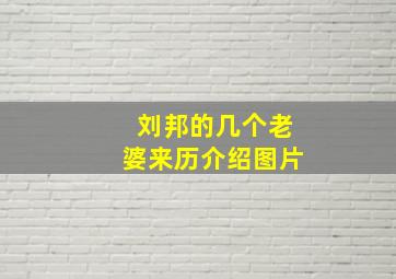 刘邦的几个老婆来历介绍图片