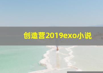 创造营2019exo小说