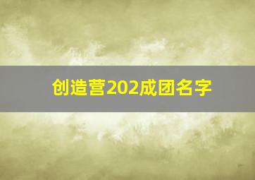 创造营202成团名字