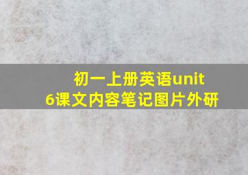 初一上册英语unit6课文内容笔记图片外研