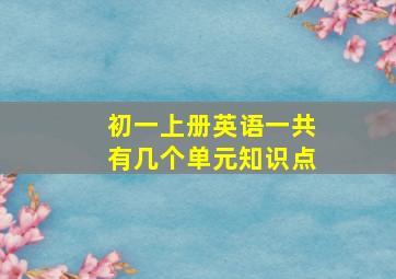 初一上册英语一共有几个单元知识点