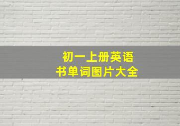 初一上册英语书单词图片大全