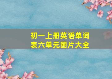 初一上册英语单词表六单元图片大全