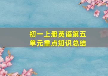 初一上册英语第五单元重点知识总结