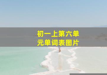 初一上第六单元单词表图片