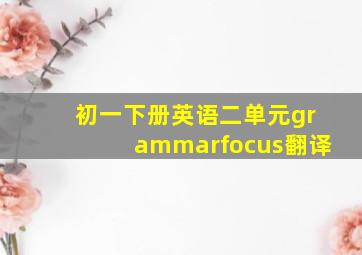 初一下册英语二单元grammarfocus翻译