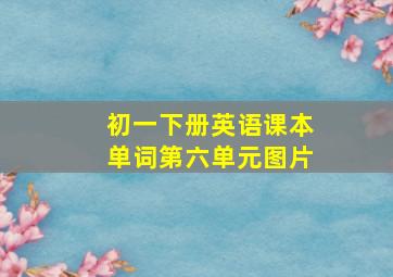 初一下册英语课本单词第六单元图片