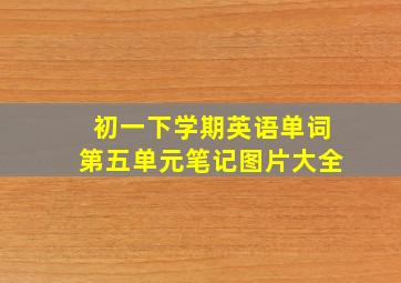 初一下学期英语单词第五单元笔记图片大全