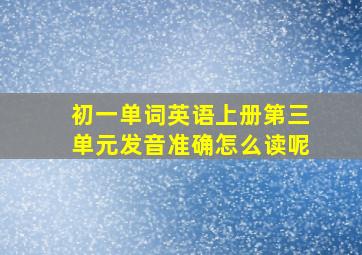 初一单词英语上册第三单元发音准确怎么读呢