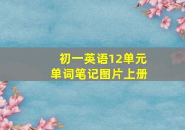 初一英语12单元单词笔记图片上册