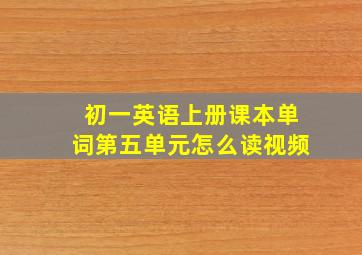 初一英语上册课本单词第五单元怎么读视频