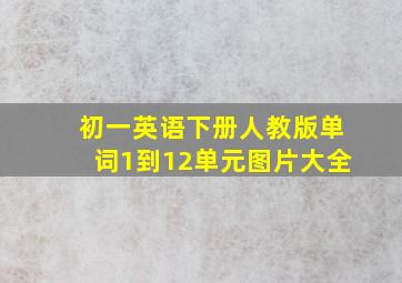 初一英语下册人教版单词1到12单元图片大全