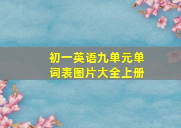 初一英语九单元单词表图片大全上册