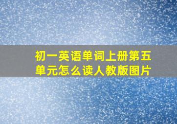 初一英语单词上册第五单元怎么读人教版图片