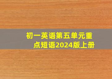 初一英语第五单元重点短语2024版上册