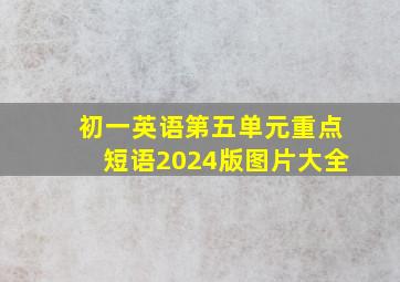 初一英语第五单元重点短语2024版图片大全