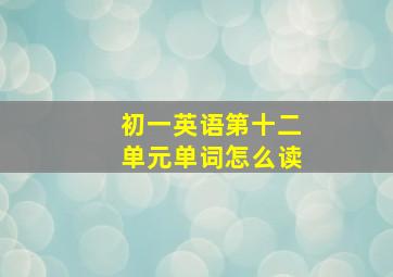 初一英语第十二单元单词怎么读