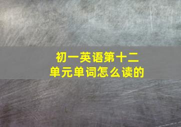 初一英语第十二单元单词怎么读的