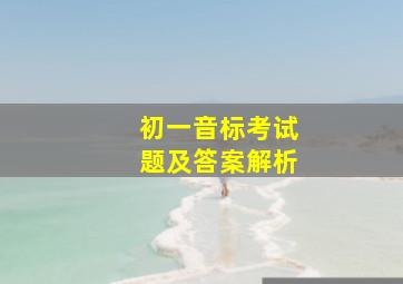 初一音标考试题及答案解析