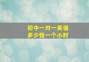 初中一对一英语多少钱一个小时