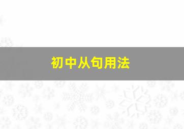 初中从句用法