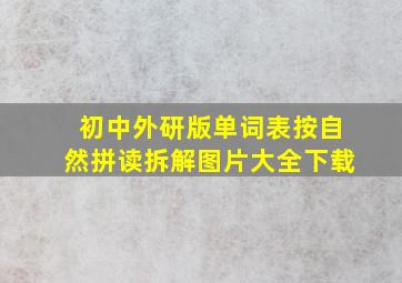 初中外研版单词表按自然拼读拆解图片大全下载