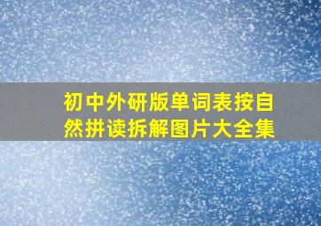 初中外研版单词表按自然拼读拆解图片大全集