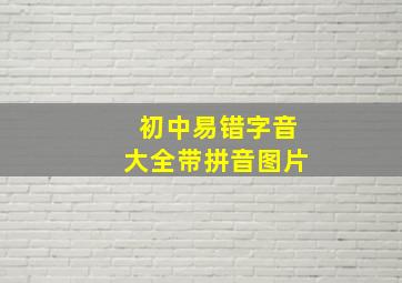 初中易错字音大全带拼音图片