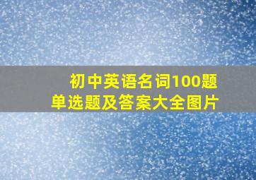 初中英语名词100题单选题及答案大全图片