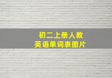 初二上册人教英语单词表图片