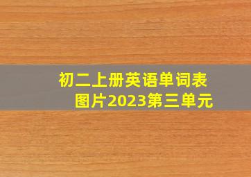 初二上册英语单词表图片2023第三单元