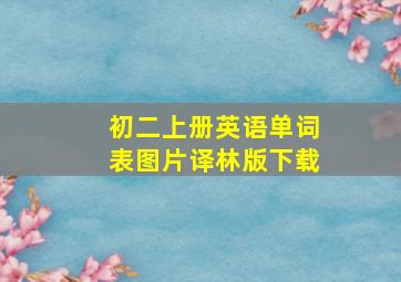 初二上册英语单词表图片译林版下载