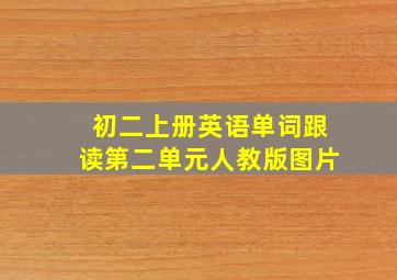 初二上册英语单词跟读第二单元人教版图片