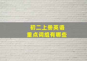 初二上册英语重点词组有哪些