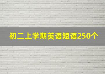 初二上学期英语短语250个