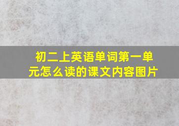 初二上英语单词第一单元怎么读的课文内容图片