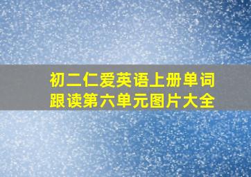 初二仁爱英语上册单词跟读第六单元图片大全