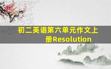 初二英语第六单元作文上册Resolution