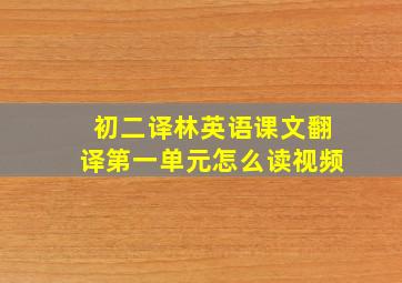 初二译林英语课文翻译第一单元怎么读视频