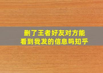 删了王者好友对方能看到我发的信息吗知乎