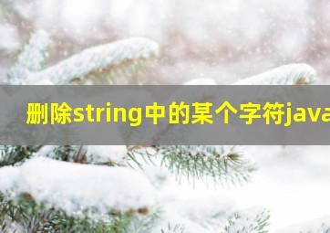 删除string中的某个字符java