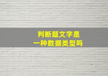 判断题文字是一种数据类型吗