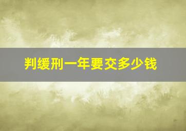 判缓刑一年要交多少钱