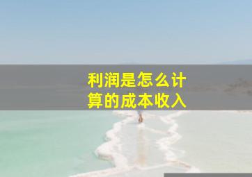 利润是怎么计算的成本收入