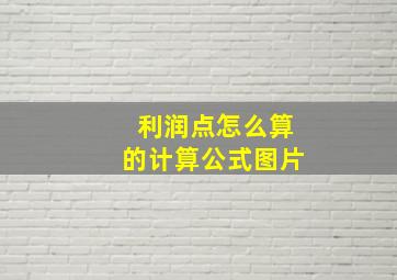 利润点怎么算的计算公式图片