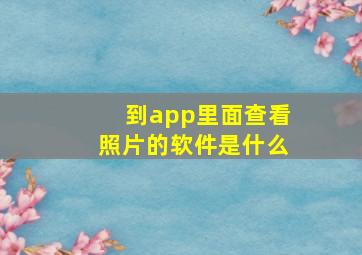 到app里面查看照片的软件是什么